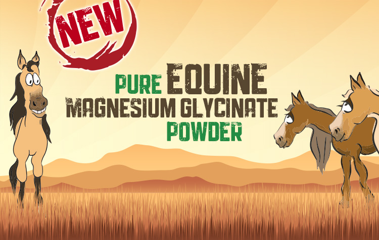 New Products